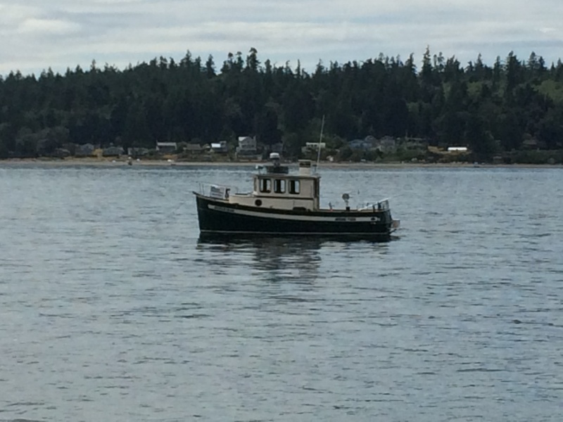 exploring Jack Island