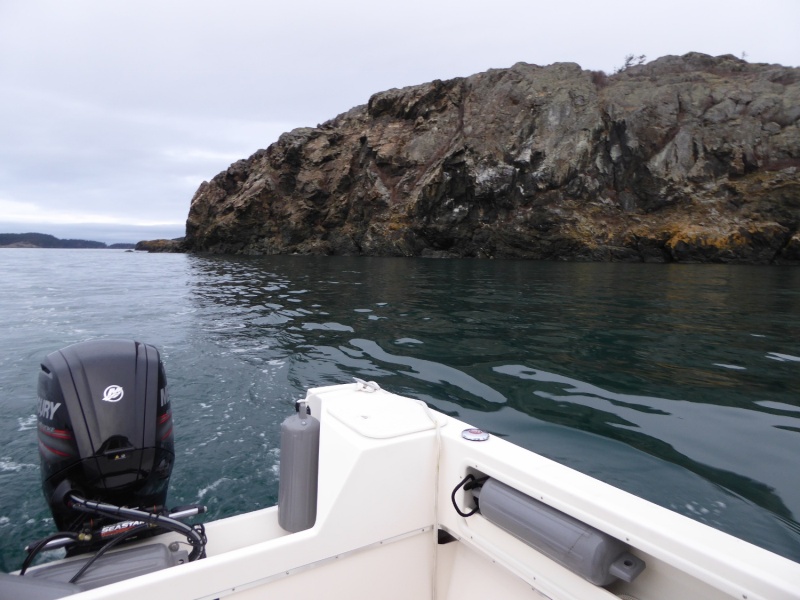 Exploring the various rocks off the South side of Lopez