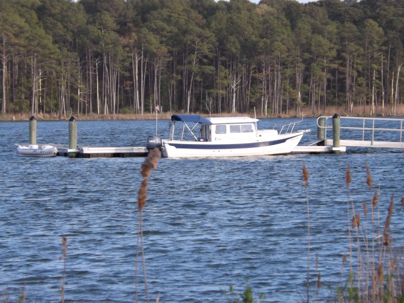 floating dock nice....