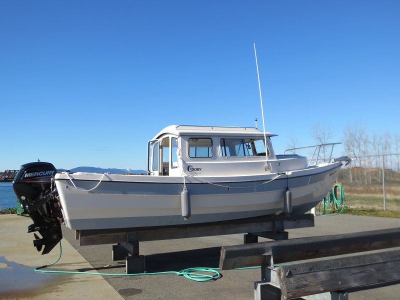 Flushing engine on the stand