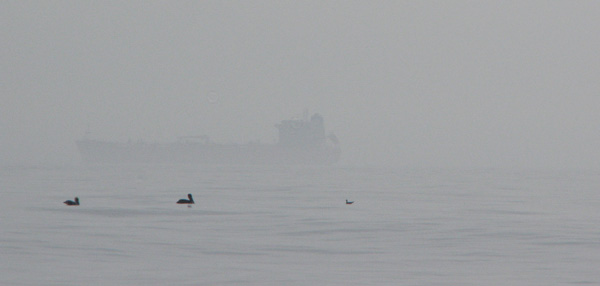 fog in the Gulf