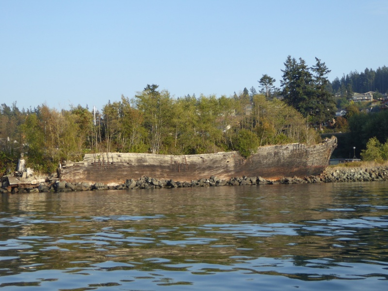 From what I've read, La Merced was a 4-masted schooner, scuttled here as a breakwater along the Anacortes waterfront in 1966