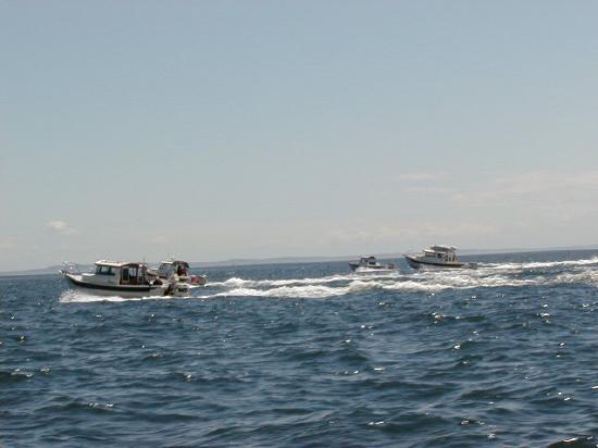 Going our seperate ways