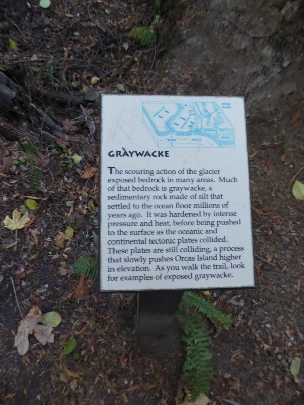 Graywacke