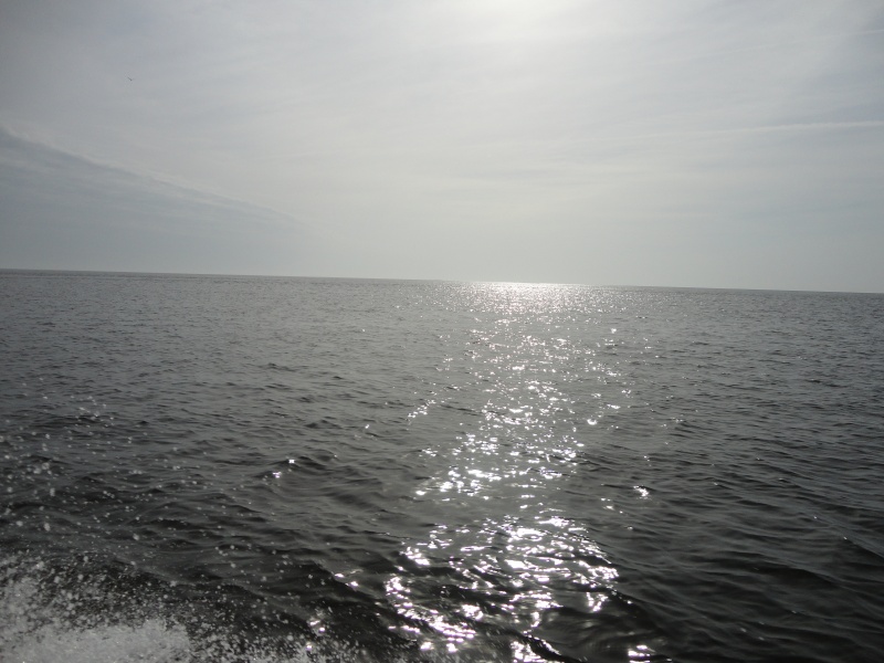 Gulf of Mexico at the Suwannee Mouth