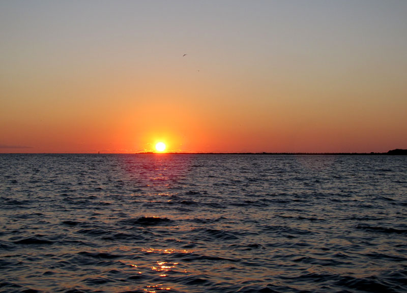 Gulf sunrise 2