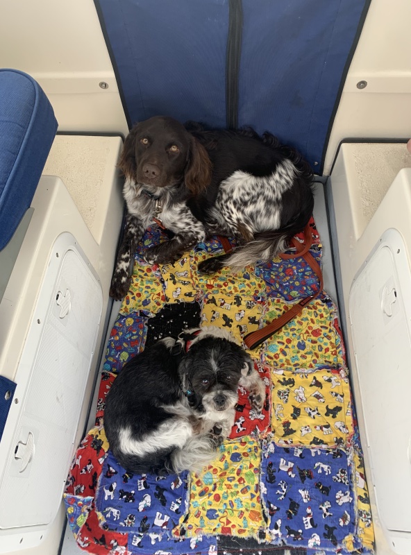 Gus and Dexter?s first voyage