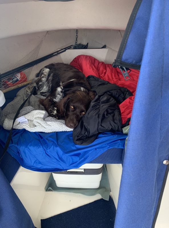 Gus?s favorite spot when under power