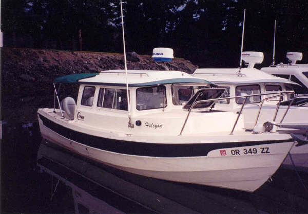 Halcyon At Rest.jpg