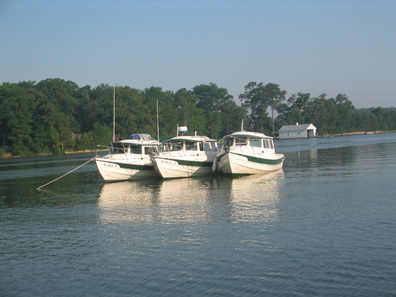 Halcyon/Wanderer/Otter