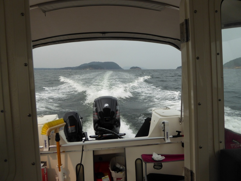 Heading back home after some WOT speed runs in Guemes Channel to test the new prop. After reading some Merc performance reports decided to try a 16Dx13" instead of the 15x15, it brought me from the low-mid RPM range to the high end of the RPM range and only a couple mph top end loss (28 mph). On last trip I noticed the boat had gained a lot of weight over the first 2 years and the waterline was never visible (I emptied about 200 lbs of unused stuff after that trip too). I may actually go back to the 15x15 for normal loads because I really like cruising around 3000 rpm.