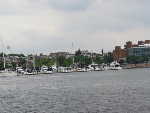 Henderson's Wharf Marina Fells point near Baltimore's Inner harbor
