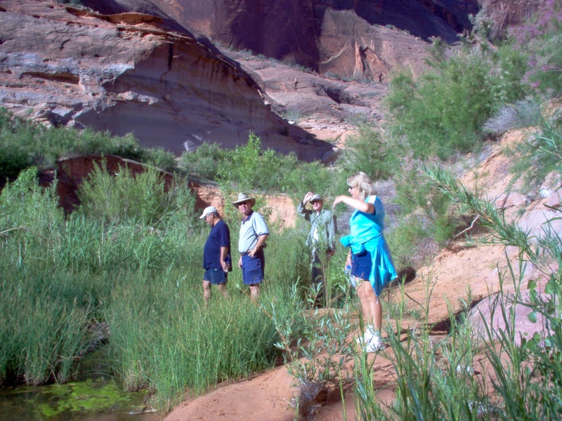 Hiking to the Defiance House