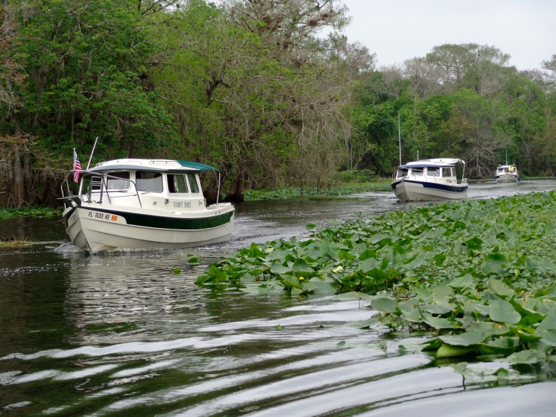 I love this river! Comfy Dory, Y-Knot, and Blues Cruiser.