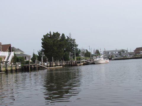 IMG 0524