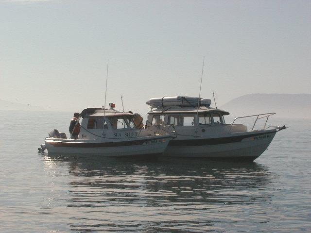 In the misty morning