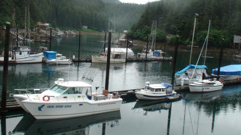 Inner Harbor Elfin Cove