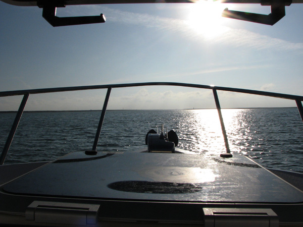 Into the lowering sun