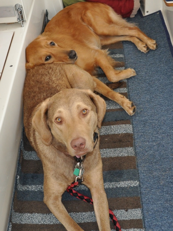 Is it dinner time, yet?