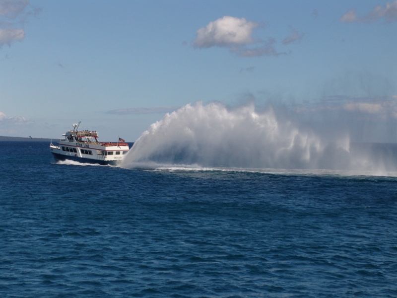 I've never been on any of these ferry boats but, I've watched them many times and man they have holeshot for thier size.