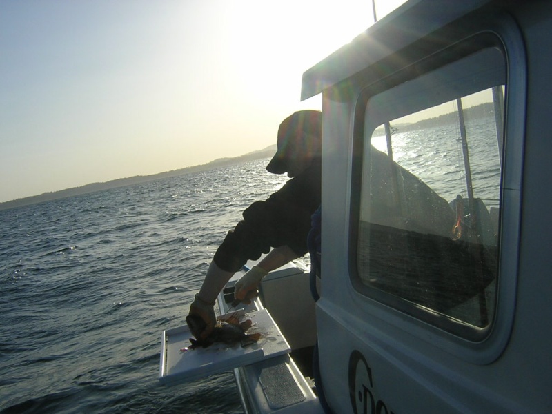 (Jeff and Diane) Jeff Cleaning Fish