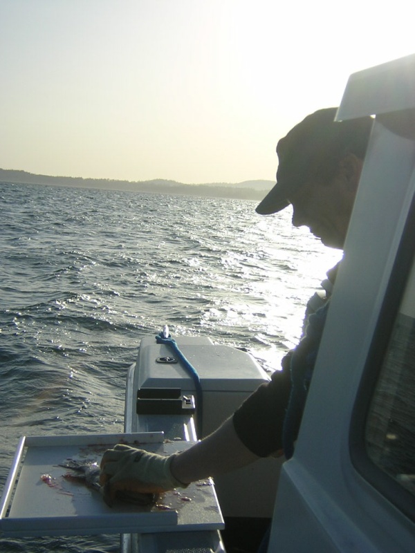 (Jeff and Diane) Jeff Cleaning Fish