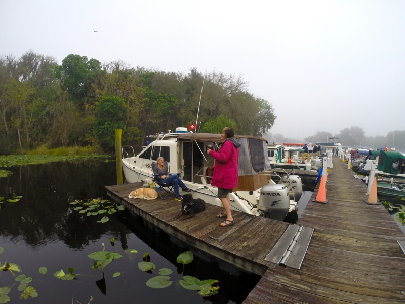 Joyce (Out2C) talking with Betty (Molly Brown) on a foggy morning while Lily and Ifas relax.