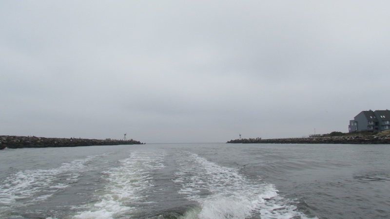 Just coming in from Ocean via MAnaquan Inlet
