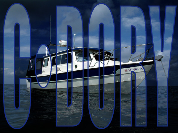 Just having fun with the name