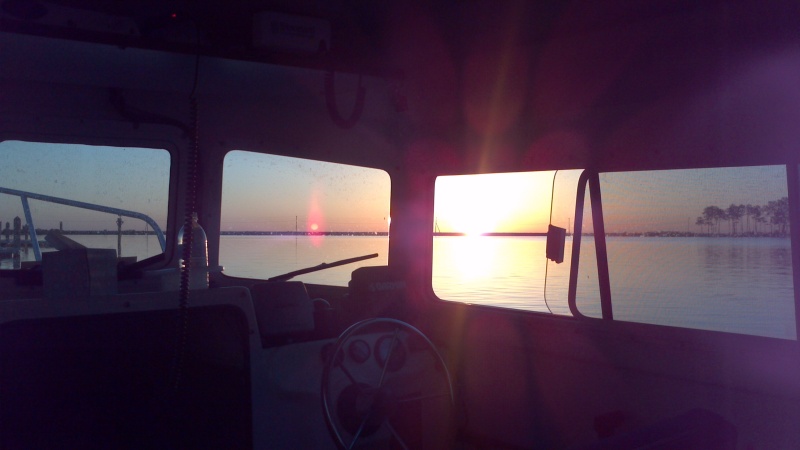 just waking up....rise n shine