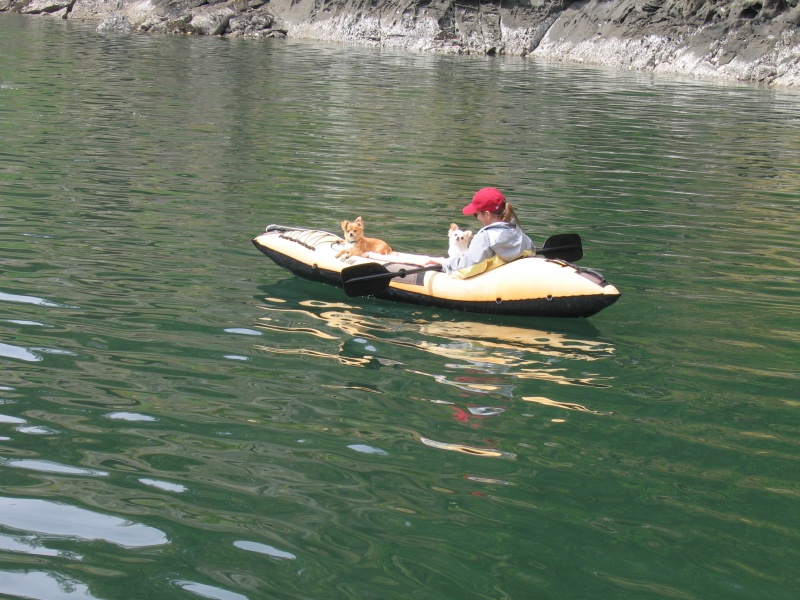 (Knotty C) Kayak on Stuart Is