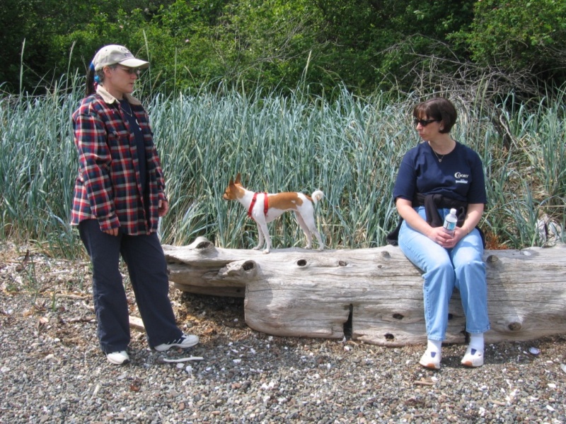 (Knotty C) Taking a break on Stuart Is.