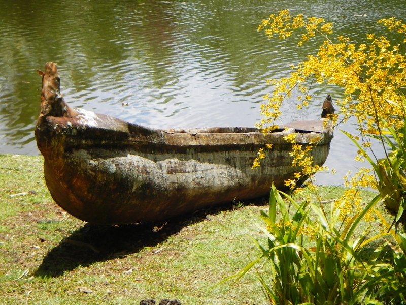 koa canoe,  kauai