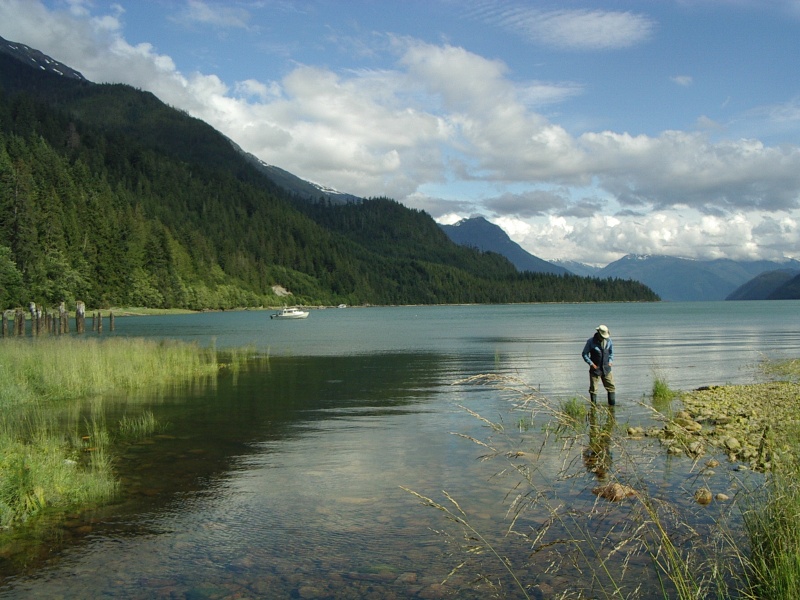 Larso Bay, S Bentinck Arm