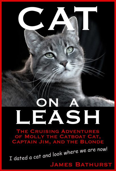 Latest cover design

?2010 James Bathurst
