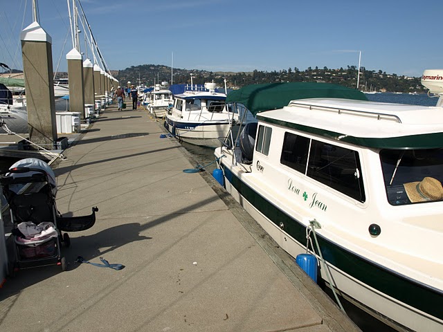 Lineup at Sausalito.
