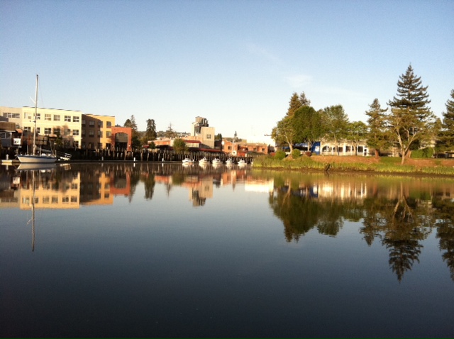Long distance shot of lineup at Petaluma Harbor.