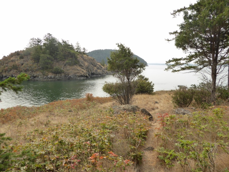 Looking south to Dot Island and Hat island