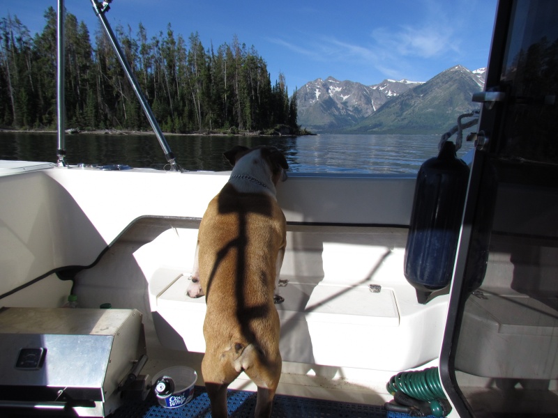 Lucy saying damn dad this place is so damn  beautiful