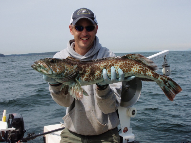 Matia Island Lingcod May 2011