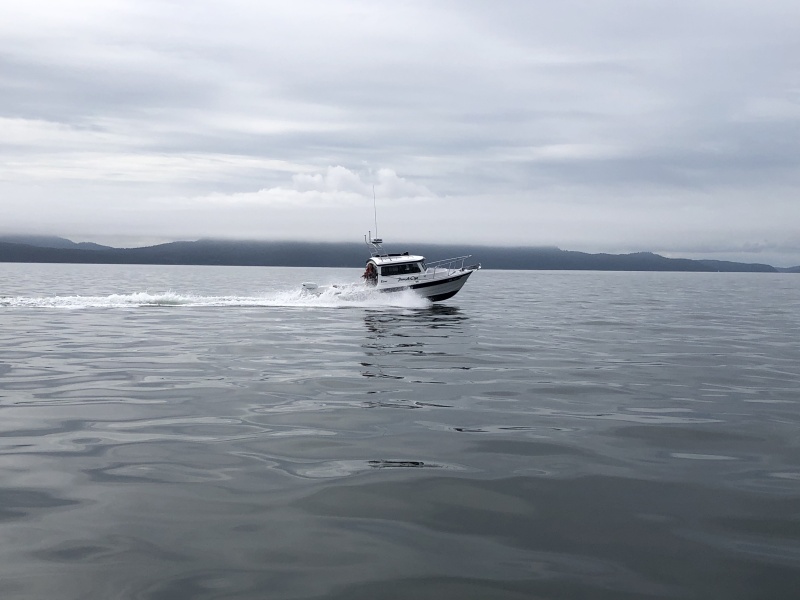 May - PanACya - 23 Venture