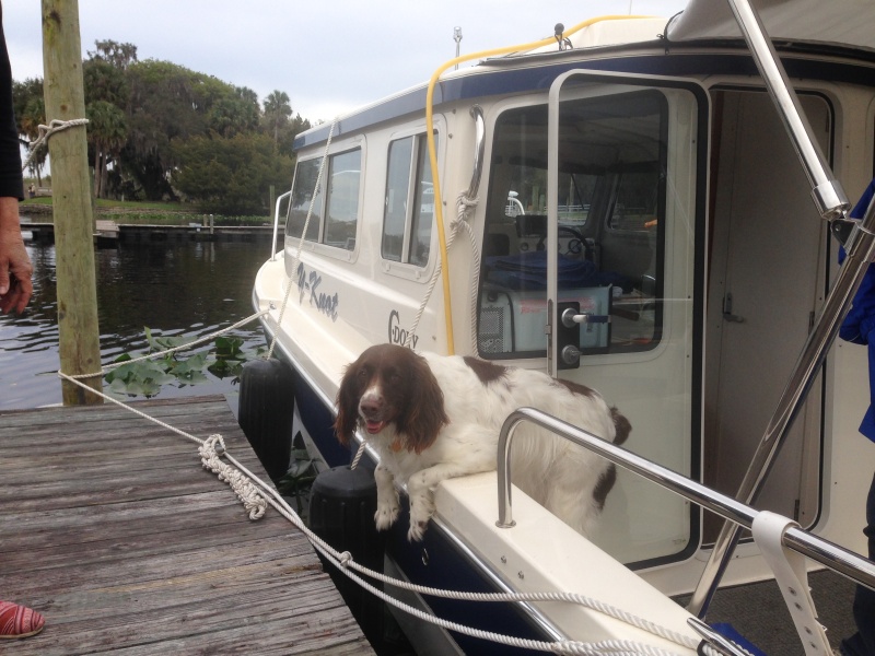 Meet \"Tillie\" on arrival.