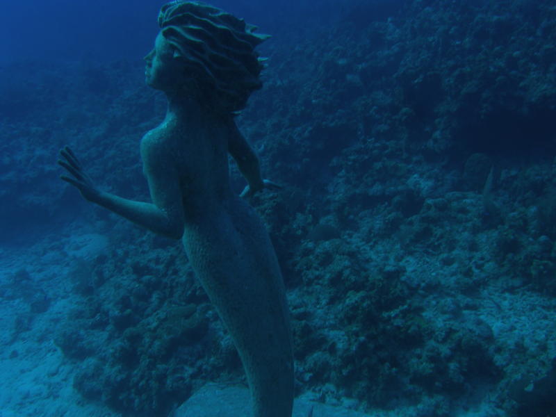 Mermaid at 55 ft sunset house