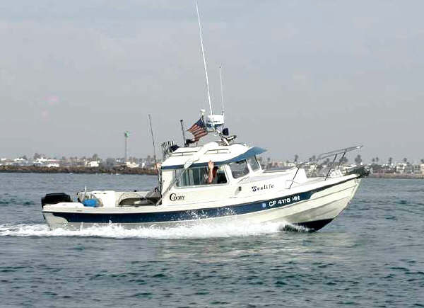 Mike on SeaLife outside Channel Island Harbor