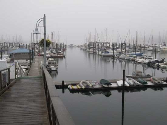 misty marina morning