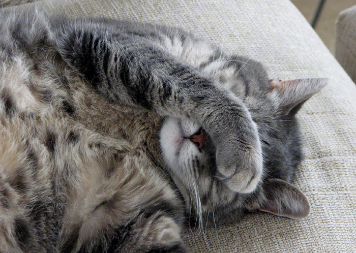 Molly - I don't want to go