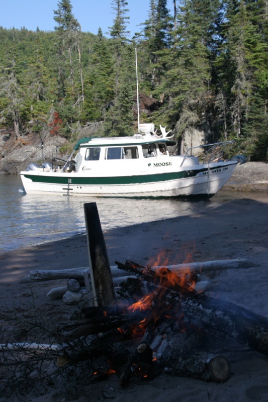 (MOOSE) Planking Trout & MOOSE