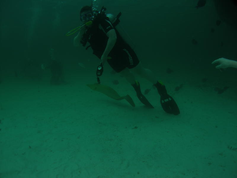 Morey Ell like susan... she has squid