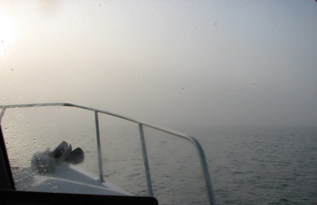 morning fog