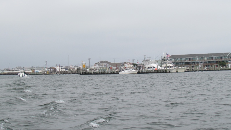 Morrison's Marina in Beach Haven,N.J.